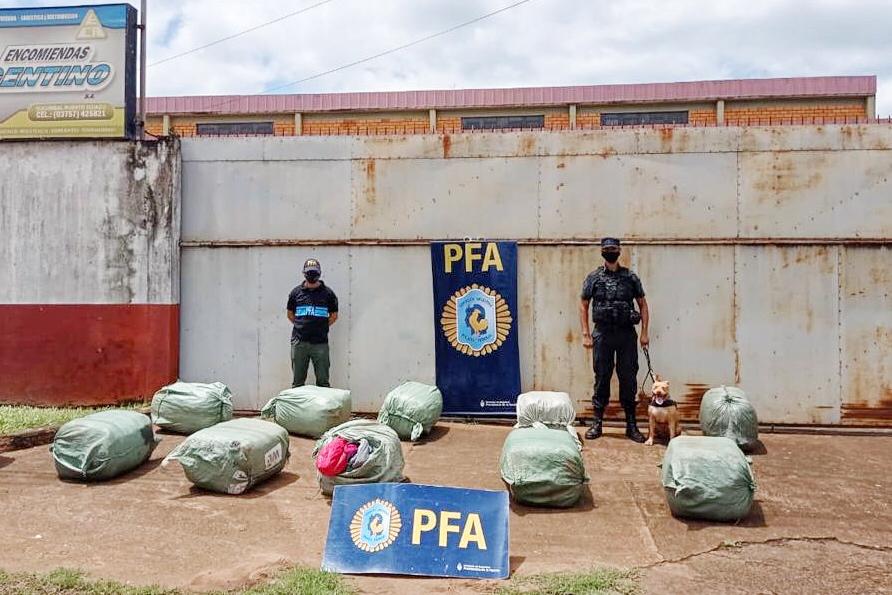 La PFA, con la ayuda del perro Huma, incautó 182 kilos de marihuana y detuvo a dos personas en Puerto Iguazú Con la ayuda del perro Huma, la Policía Federal incautó 182 kilos de marihuana y detuvo a dos personas en Puerto Iguazú