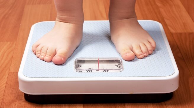 Argentina se ubica primera en el ranking de obesidad infantil entre los países de América del Sur,