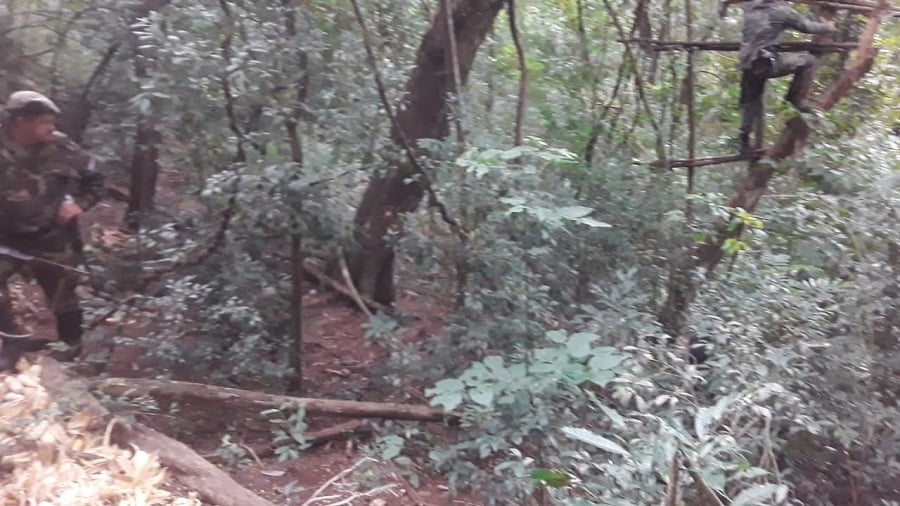 173054039_3673332312795454_4984271439283661695_n Esperaba en una trampa para animales del monte nativo, pero fue sorprendido por Guardaparques y terminó preso