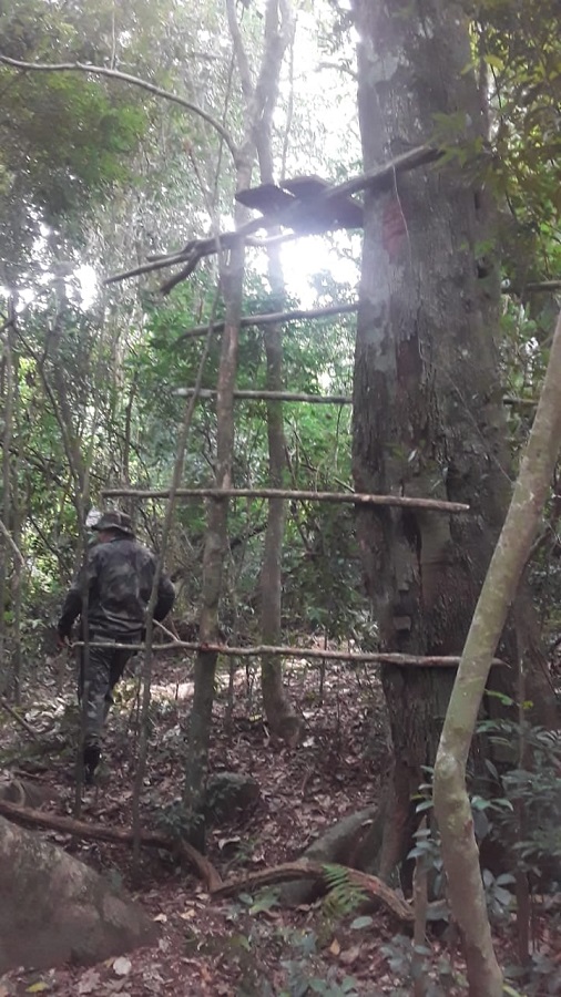 173211436_3673332339462118_7911256699141708900_n Esperaba en una trampa para animales del monte nativo, pero fue sorprendido por Guardaparques y terminó preso