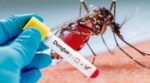 Dengue en Paraguay