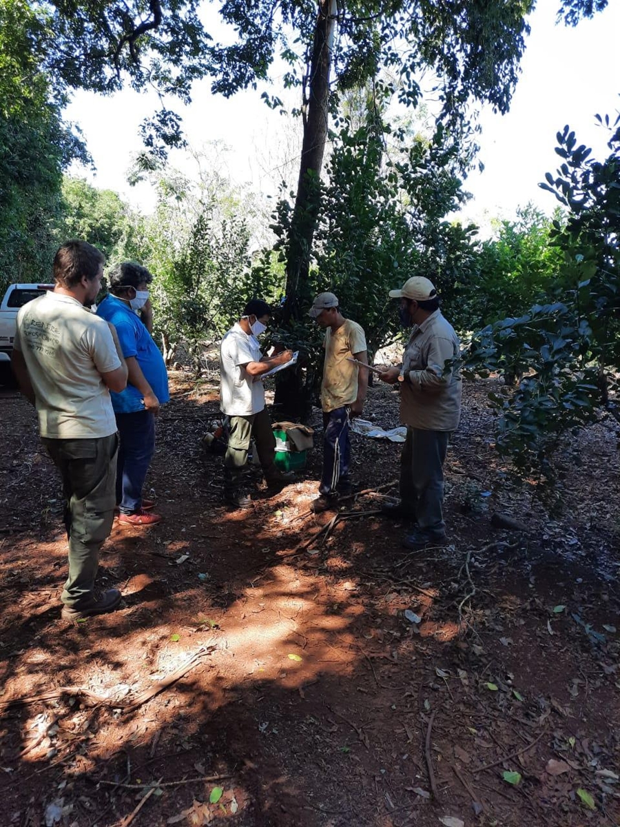 Detectaron tareferos y trabajadores forestales bajo explotación laboral en Misiones