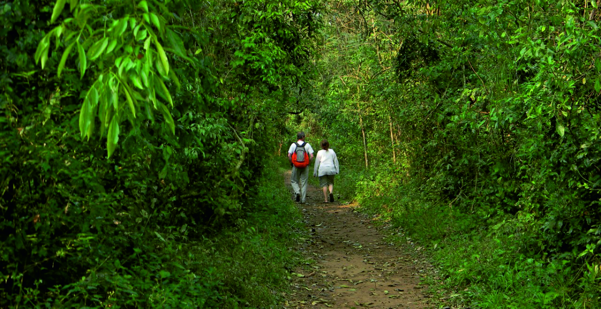 iguazu jungle lodge