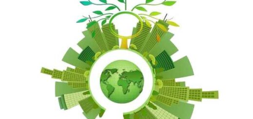 economía circular en Misiones