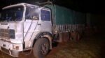 tres camiones con carga de soja ilegal