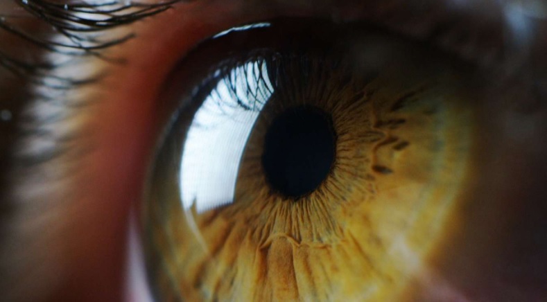 Un hombre ciego recuperó parcialmente la visión luego de 40 años