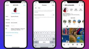 Instagram y la nueva opción para personalizar los perfiles