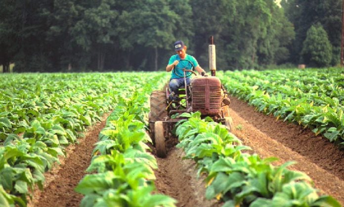Impulsarán al sector agropecuario mediante el programa “Girsar” que volcará siete millones de pesos para los productores
