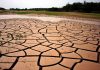 la peor sequía en Brasil
