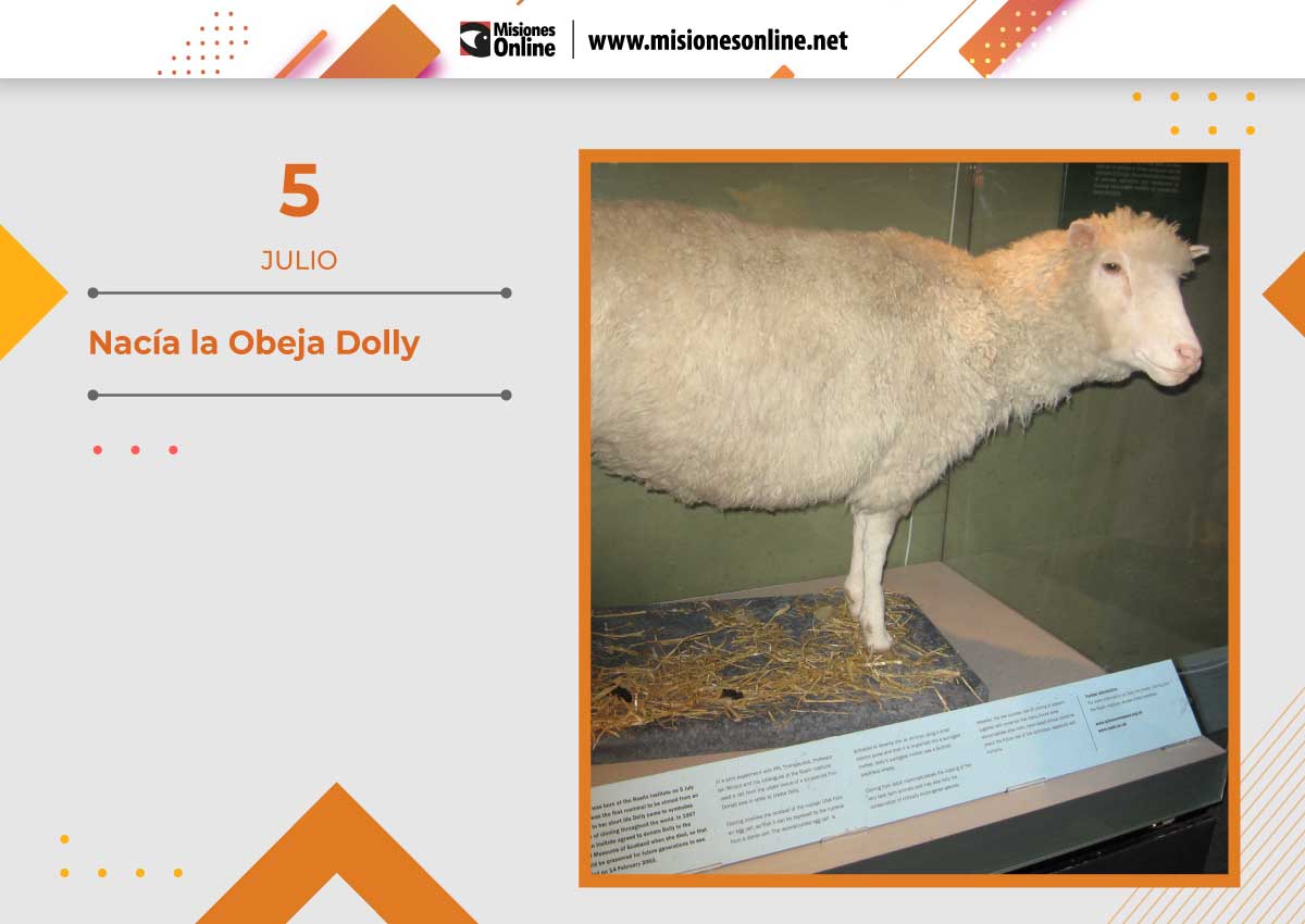 Un día como hoy nació la Oveja Dolly: un experimento que revolucionó la