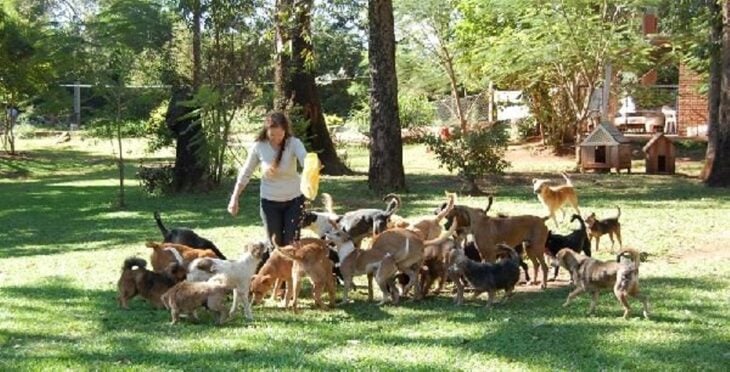 El Refugio de Animales de Posadas busca voluntarios que brinden tránsito temporal a sus perros