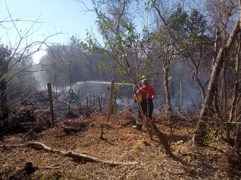 incendios forestales en Misiones