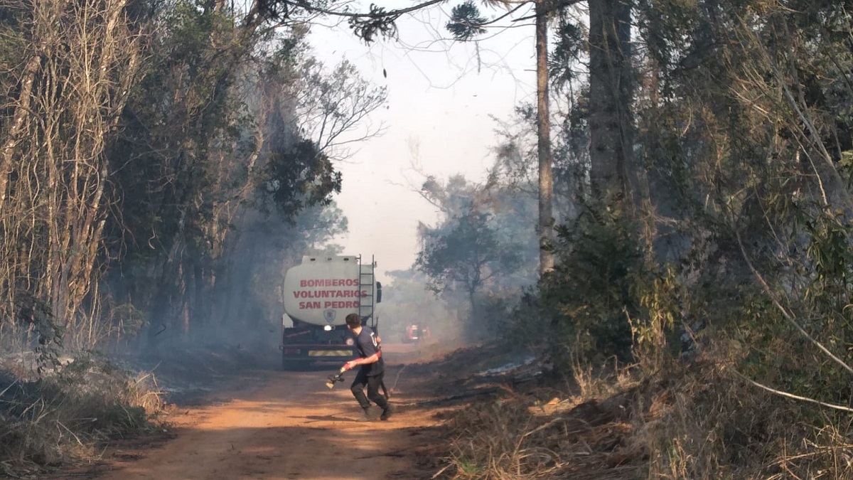 incendio en el parque provincial Las Araucarias