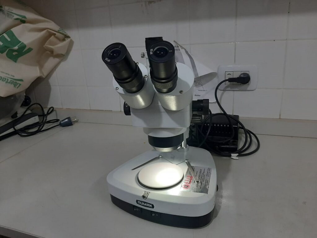 Dengue en Posadas