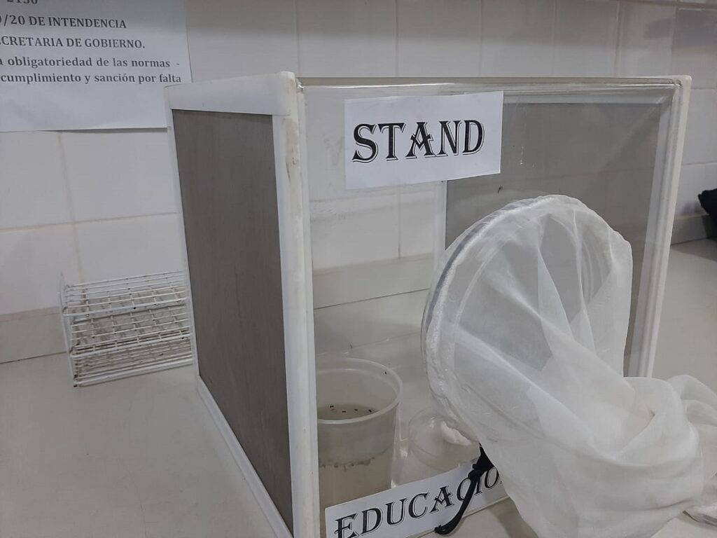 Dengue en Posadas