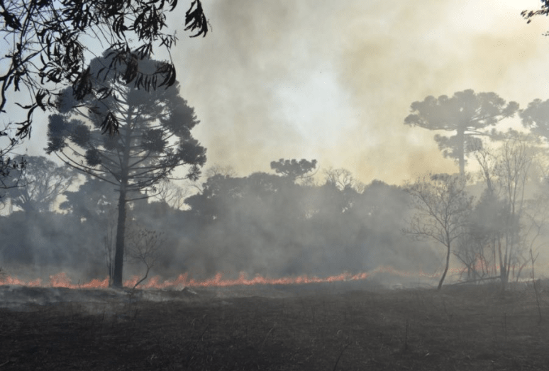 El humo por los incendios forestales en la región invade el cielo de Posadas