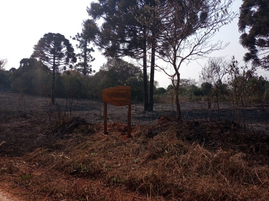 hectareas afectadas por los-incendios