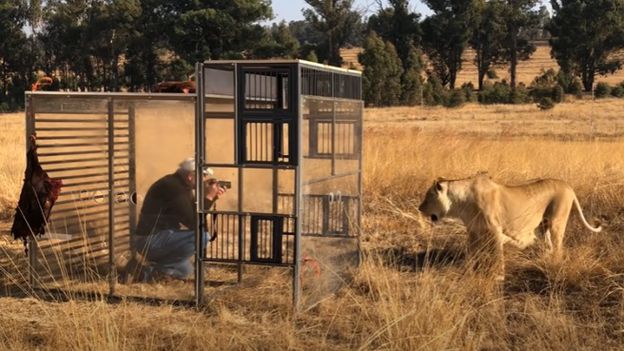 zoológico al revés en Sudáfrica