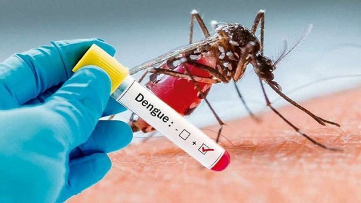 Día Internacional de la Lucha contra el Dengue