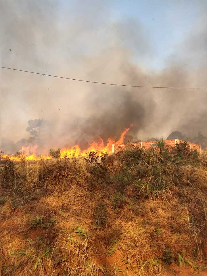 Tragedia ambiental en Misiones: un incendio arrasó con parte del parque provincial Las Araucarias y amenazó el patrimonio histórico de San Pedro