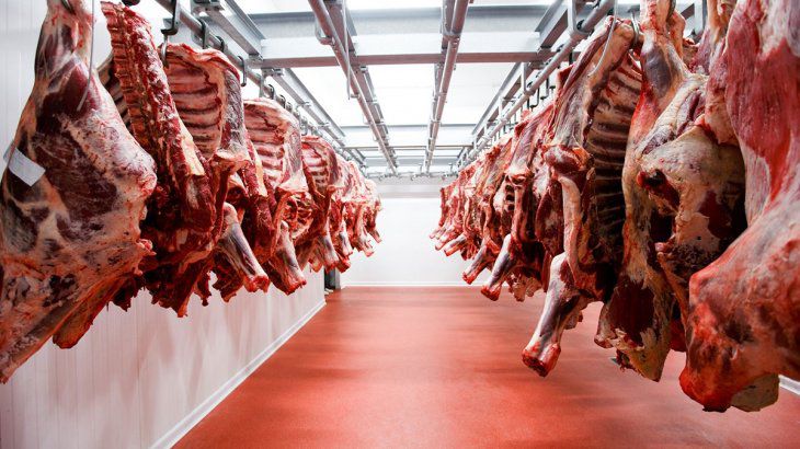 restricciones en las exportaciones de carne