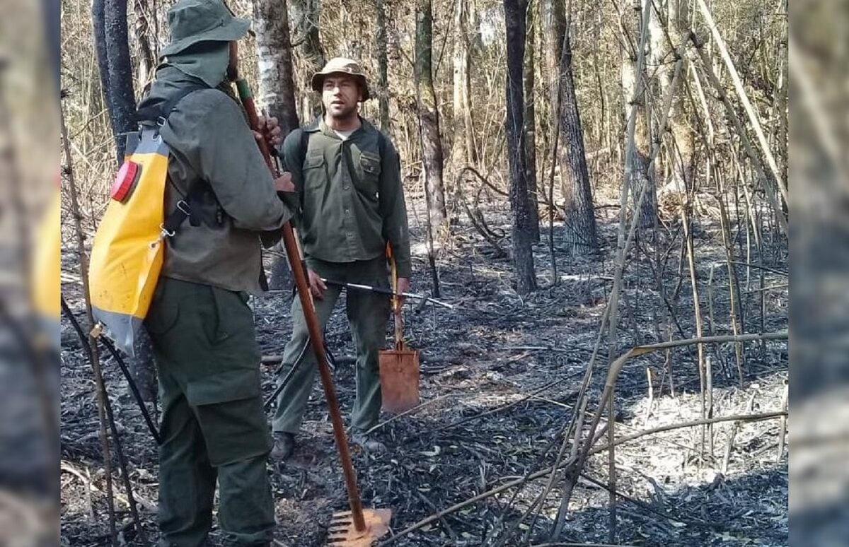 incendio en el Parque Provincial de la Araucaria
