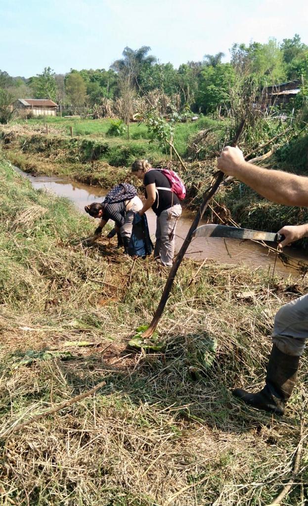 Eldorado: en el Día Mundial de la Limpieza, realizaron saneamiento del arroyo Elena y arborización