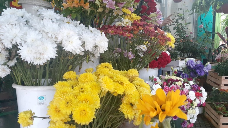 Por el Día de la Primavera aumentó la venta de ramos de flores en Posadas:  precios y variedades - TV Misiones Online