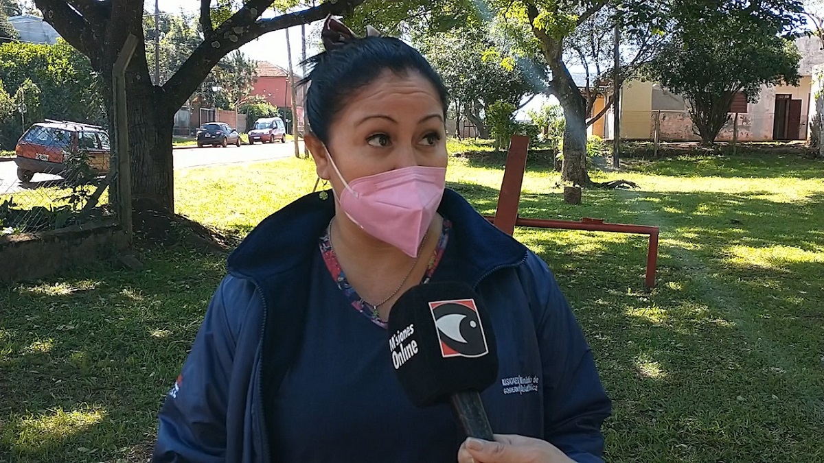 Intentaron secuestrar a una menor en Posadas