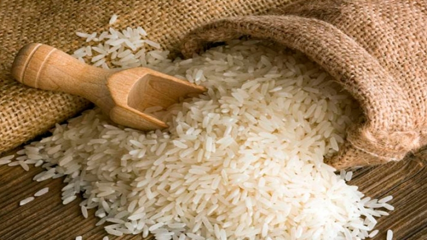arroz orgánico en Misiones