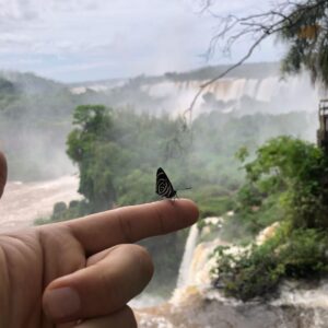 Fin de semana XXL en Misiones: “Las cataratas están con mucha agua y eso es un espectáculo diferente”, señalaron desde Puerto Iguazú