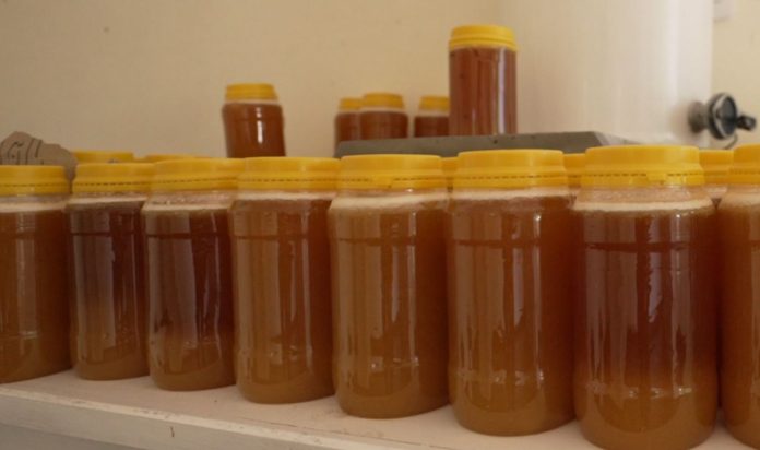 extracción de miel