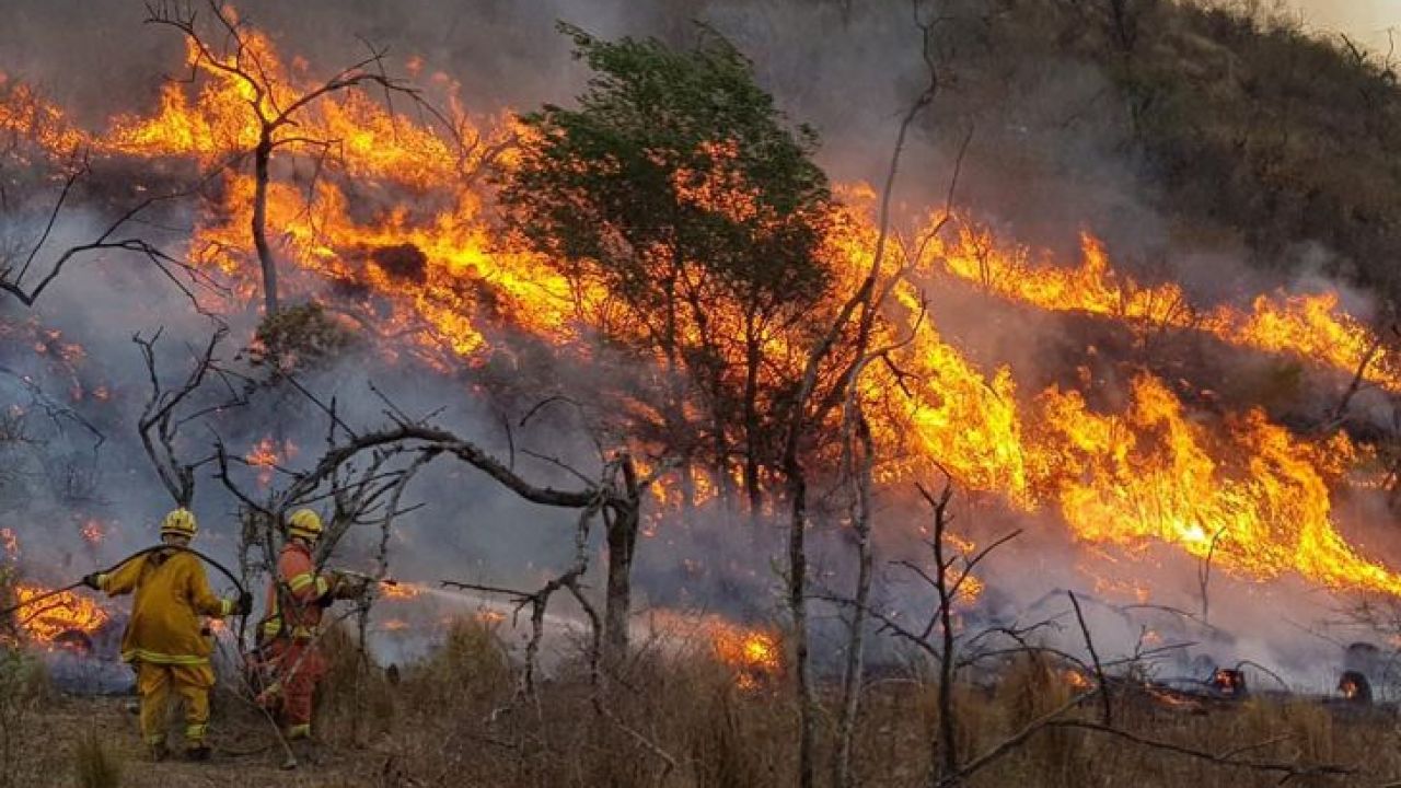 Incendios forestales en Argentina | Nueve provincias se encuentran con focos activos