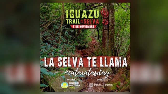 Iguazú Trail de la Selva