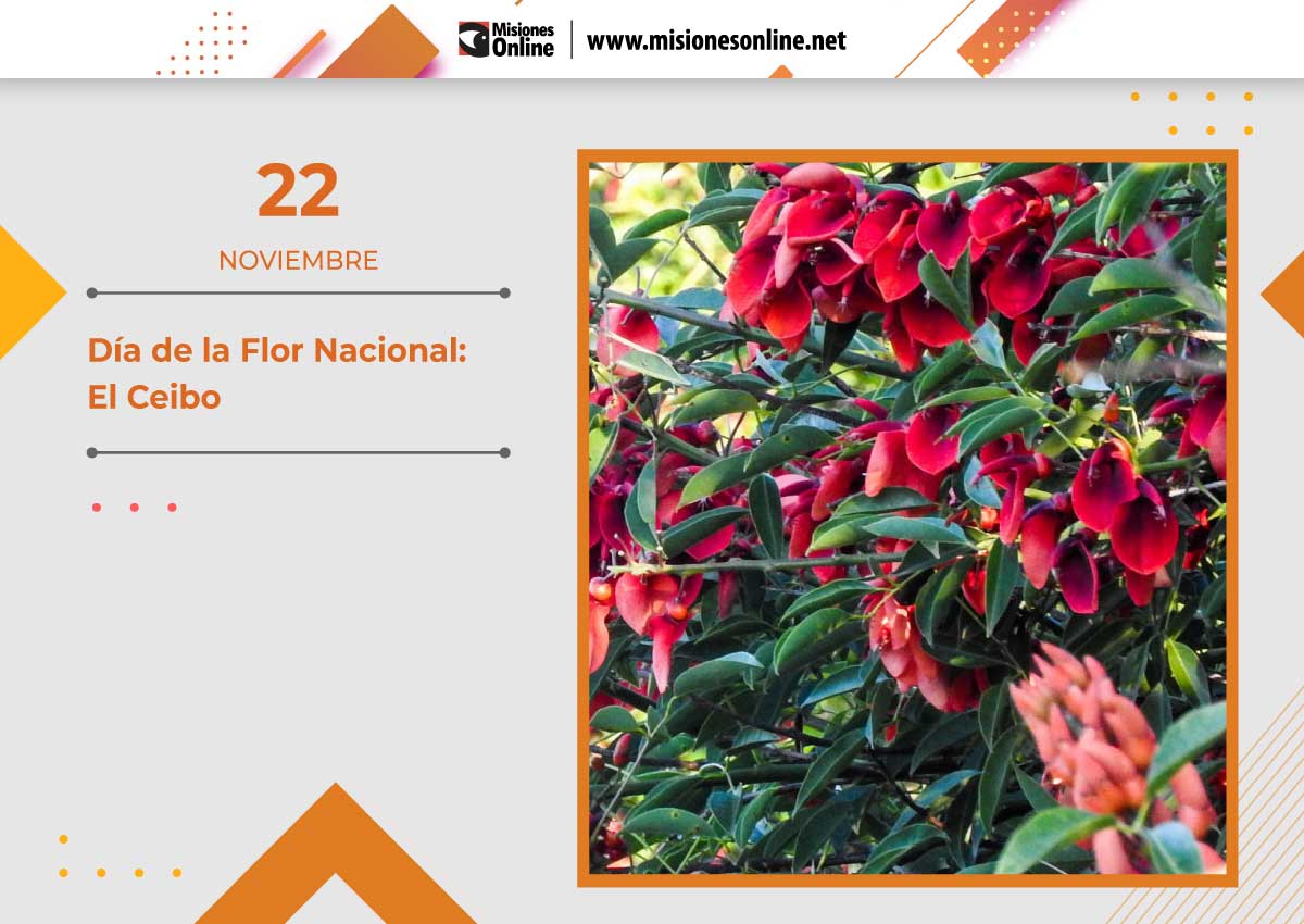 Hoy es el Día de la Flor Nacional del Ceibo: ¿Qué dice la leyenda guaraní  sobre el origen de la flor?