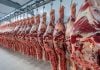 Las exportaciones de carne bovina en octubre cayeron por encima del 30%