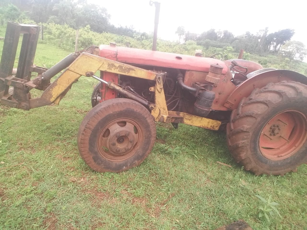 tractor de 50 años