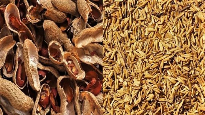 residuos-mani-arroz sustentabilidad en el agro