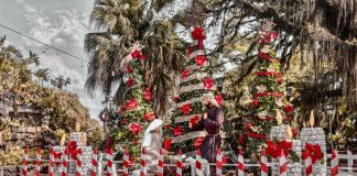 navidad en Eldorado