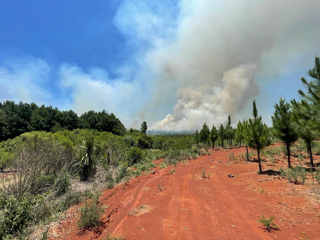 fuego en la zona del Alto Paraná