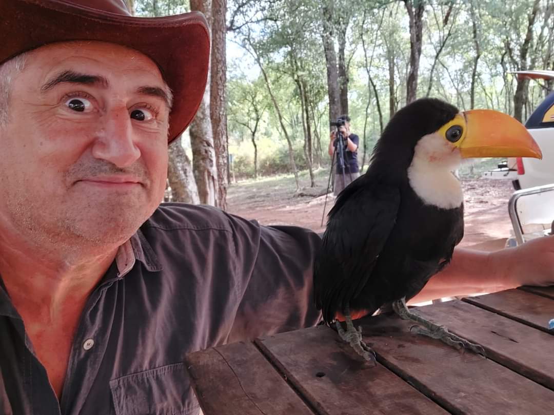 Naturaleza de Misiones| El periodista Atilio Cantalupi visitó la Aldea Urunday Ti Tacuaruzu e hizo una particular amistad con los tucanes misioneros 