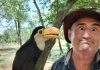 Naturaleza de Misiones| El periodista Atilio Cantalupi visitó la Aldea Urunday Ti Tacuaruzu e hizo una particular amistad con los tucanes misioneros