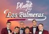 los palmeras