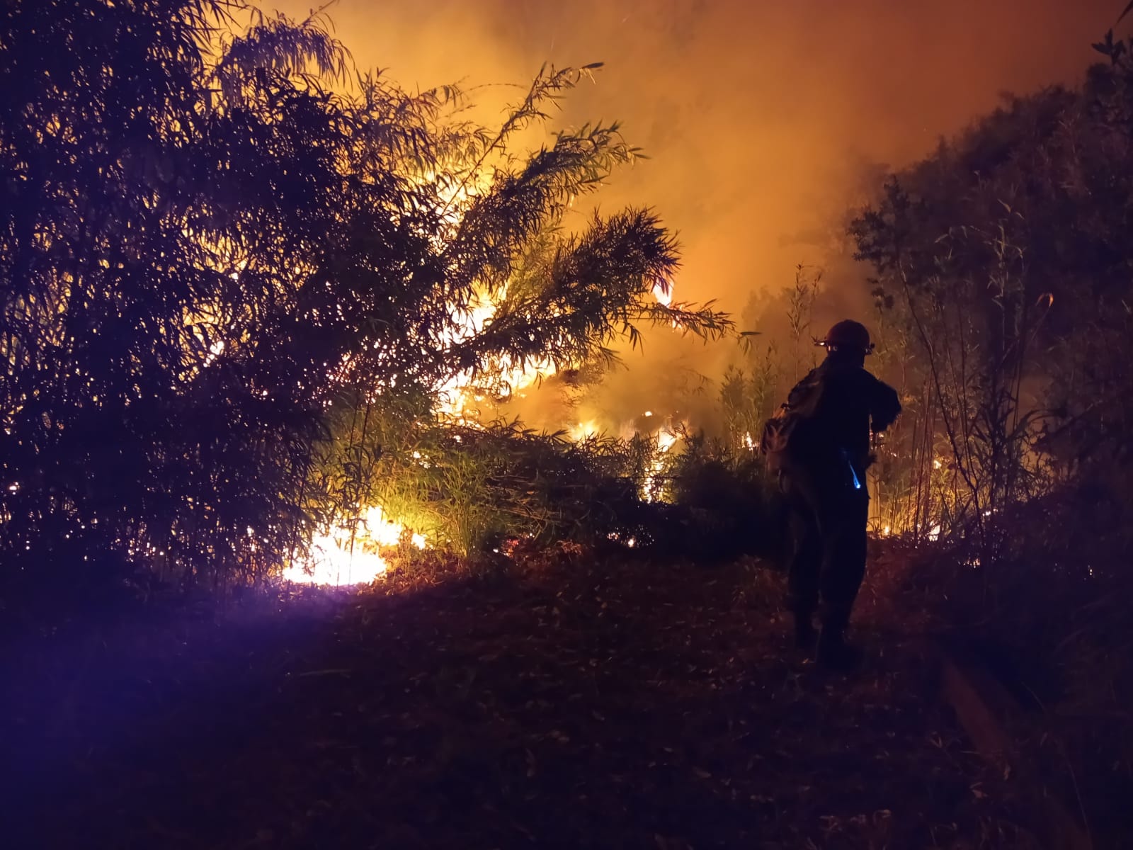 incendio en la reserva El Zaimán