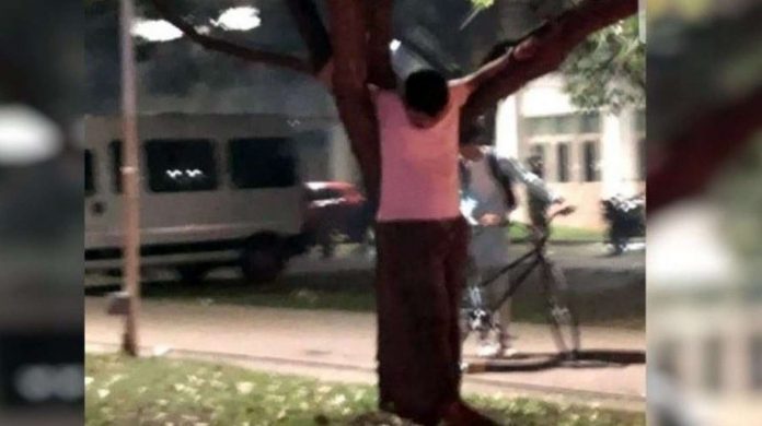 joven apareció crucificado en un árbol