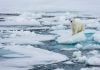 récord de calor en el Ártico