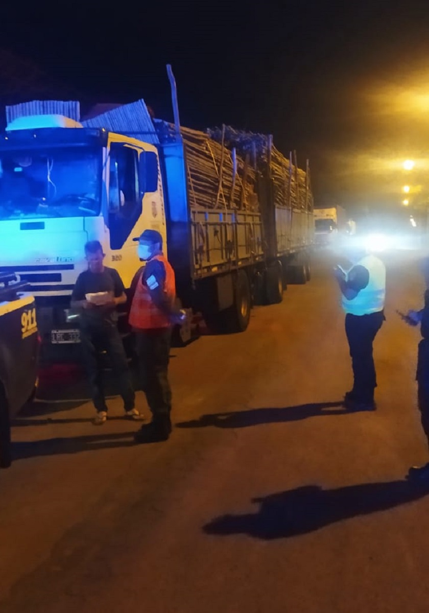 detuvieron un camión que transportaba tacuaras