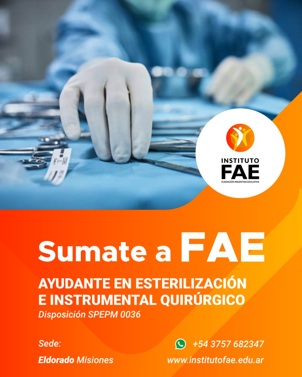 Instituto FAE