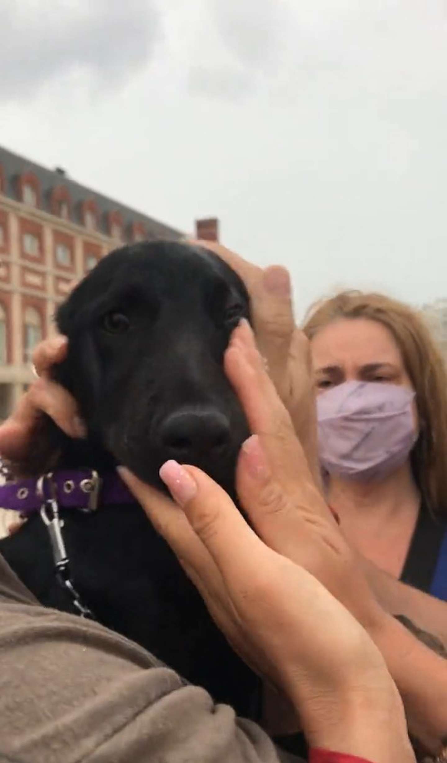 Maltrato animal| Turistas juntaron dinero y rescataron a un cachorro que era maltratado por un hombre en la vía pública 