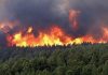 Reporte de incendios forestales| Se registran focos en Misiones, Corrientes, San Luis, Río Negro y Catamarca